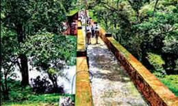 മുല്ലപ്പെരിയാര് മരം മുറി: സസ്പെന്ഷന് കേന്ദ്ര ഫോറസ്റ്റ് ഐജിയെ അറിയിക്കാത്തത് ചട്ട വിരുദ്ധമെന്ന് വിലയിരുത്തല് മുല്ലപ്പെരിയാര് മരം മുറി: സസ്പെന്ഷന് കേന്ദ്ര ഫോറസ്റ്റ് ഐജിയെ അറിയിക്കാത്തത് ചട്ട വിരുദ്ധമെന്ന് വിലയിരുത്തല്