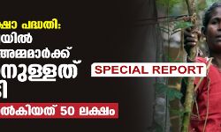 കണ്ണൂർ ജില്ലയിൽ ആദിവാസി അമ്മമാർക്ക് നൽകാനുള്ളത് 2 കോടി; സർക്കാർ നൽകിയത് 50 ലക്ഷം