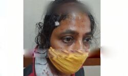 പറമ്പിലൂടെ വഴി വെട്ടാനുള്ള ശ്രമം തടഞ്ഞതിനെ തുടര്‍ന്ന് യുവതിക്ക് നേരെ ആക്രമണം