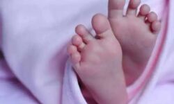 അട്ടപ്പാടിയിലെ മരണങ്ങള്‍ സര്‍ക്കാര്‍ സംവിധാനങ്ങളുടെ നിഷ്ടക്രിയത്വം മൂലമെന്ന് എസ്ഡിപിഐ