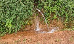 അധികൃതരുടെ കെടുകാര്യസ്ഥത; പാഴായത് 10 ലക്ഷത്തിലധികം ലിറ്റര് വെള്ളം അധികൃതരുടെ കെടുകാര്യസ്ഥത; പാഴായത് 10 ലക്ഷത്തിലധികം ലിറ്റര് വെള്ളം