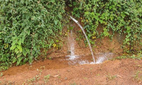 അധികൃതരുടെ കെടുകാര്യസ്ഥത; പാഴായത് 10 ലക്ഷത്തിലധികം ലിറ്റര് വെള്ളം അധികൃതരുടെ കെടുകാര്യസ്ഥത; പാഴായത് 10 ലക്ഷത്തിലധികം ലിറ്റര് വെള്ളം