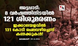 അട്ടപ്പാടി: 8 വർഷത്തിനിടയിൽ 121 ശിശുമരണം; ഇക്കാലയളവിൽ 131 കോടി ചെലവഴിച്ചെന്ന് കണക്കുകൾ!