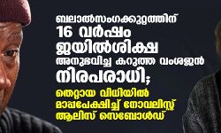 ബലാല്‍സംഗക്കുറ്റത്തിന് 16 വര്‍ഷം ജയില്‍ശിക്ഷ അനുഭവിച്ച കറുത്ത വംശജന്‍ നിരപരാധി; തെറ്റായ വിധിയില്‍ മാപ്പപേക്ഷിച്ച് നോവലിസ്റ്റ് ആലിസ് സെബോള്‍ഡ്