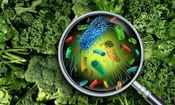 വിവാഹ സല്‍ക്കാര ചടങ്ങില്‍ പങ്കെടുത്തവര്‍ക്ക് ഭക്ഷ്യവിഷബാധയേറ്റു