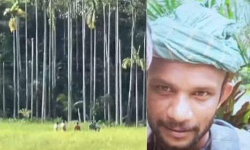 വയനാട്ടില്‍ കുറിച്യ യുവാവ് വെടിയേറ്റു മരിച്ച സംഭവം: പ്രതികള്‍ പിടിയില്‍