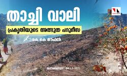 താച്ചി വാലി പ്രകൃതിയുടെ അത്ഭുത പറുദീസ