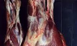 കര്‍ണാടക അതിര്‍ത്തിയില്‍ അറവുശാല അടിച്ചു തകര്‍ത്തു; രണ്ട് സംഘപരിവാര പ്രവര്‍ത്തകര്‍ പിടിയില്‍