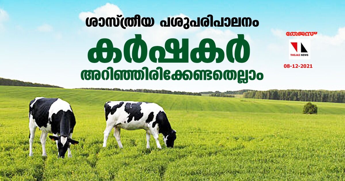 ശാസ്ത്രീയ പശുപരിപാലനം; കര്‍ഷകര്‍ അറിഞ്ഞിരിക്കേണ്ടതെല്ലാം