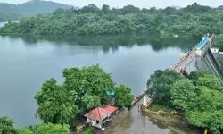 ആവശ്യമെങ്കില് കൃഷിക്കായി പീച്ചി ഡാമില് നിന്ന് ജലം ലഭ്യമാക്കും ആവശ്യമെങ്കില് കൃഷിക്കായി പീച്ചി ഡാമില് നിന്ന് ജലം ലഭ്യമാക്കും