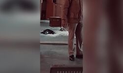 เดกเดฒเตโเดนเดฟ เดเตเดเดคเดฟเดฏเดฟเดฒเตโ เดธเตโเดซเตเดเดจเด; เดชเตเดฒเดฟเดธเต เดเดฆเตเดฏเตเดพเดเดธเตเดฅเดจเต เดชเดฐเดฟเดเตเดเต, เดเตเดเดคเดฟ เดจเดเดชเดเดฟเดเดณเตโ เดจเดฟเดฐเตโเดคเตเดคเดฟเดตเดเตเดเต เดกเดฒเตโเดนเดฟ เดเตเดเดคเดฟเดฏเดฟเดฒเตโ เดธเตโเดซเตเดเดจเด; เดชเตเดฒเดฟเดธเต เดเดฆเตเดฏเตเดพเดเดธเตเดฅเดจเต เดชเดฐเดฟเดเตเดเต, เดเตเดเดคเดฟ เดจเดเดชเดเดฟเดเดณเตโ เดจเดฟเดฐเตโเดคเตเดคเดฟเดตเดเตเดเต