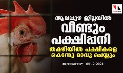 ആലപ്പുഴ ജില്ലയില്‍ വീണ്ടും പക്ഷിപ്പനി ; തകഴിയില്‍ പക്ഷികളെ കൊന്നു മറവു ചെയ്യും