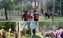 കുറുക്കന്മൂലയില് ഇറങ്ങിയ കടുവയെ മയക്കുവെടി വയ്ക്കും കുറുക്കന്മൂലയില് ഇറങ്ങിയ കടുവയെ മയക്കുവെടി വയ്ക്കും