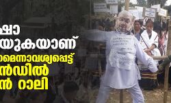 വെടിവയ്പ്: അമിത് ഷാ നുണ പറയുകയാണ്; മാപ്പു പറയണമെന്നാവശ്യപ്പെട്ട് നാഗാലാന്‍ഡില്‍ പടുകൂറ്റന്‍ റാലി