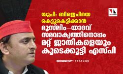 യുപി: ബിജെപിയെ കെട്ടുകെട്ടിക്കാന്‍ മുസ്‌ലിം -യാദവ സമവാക്യത്തിനൊപ്പം മറ്റു ജാതികളേയും കൂടെകൂട്ടി എസ്പി