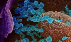 രാജ്യത്ത് 781 പേര്‍ക്ക് ഒമിക്രോണ്‍; ഡല്‍ഹിയില്‍ 238 പേര്‍ക്ക് രോഗബാധ