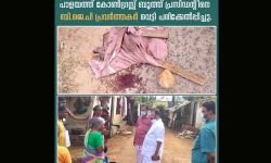 കോണ്‍ഗ്രസ് പ്രാദേശിക നേതാവിന് വെട്ടേറ്റ സംഭവം: ശക്തമായ നടപടി സ്വീകരിക്കണമെന്ന് പാലക്കാട് ഡിസിസി നേതൃത്വം