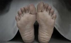 കണ്ണൂരില്‍ 70കാരന്‍ മരിച്ച നിലയില്‍; മൃതദേഹത്തിന് രണ്ട് ദിവസം പഴക്കം, അറിഞ്ഞില്ലെന്ന് വീട്ടുകാര്‍