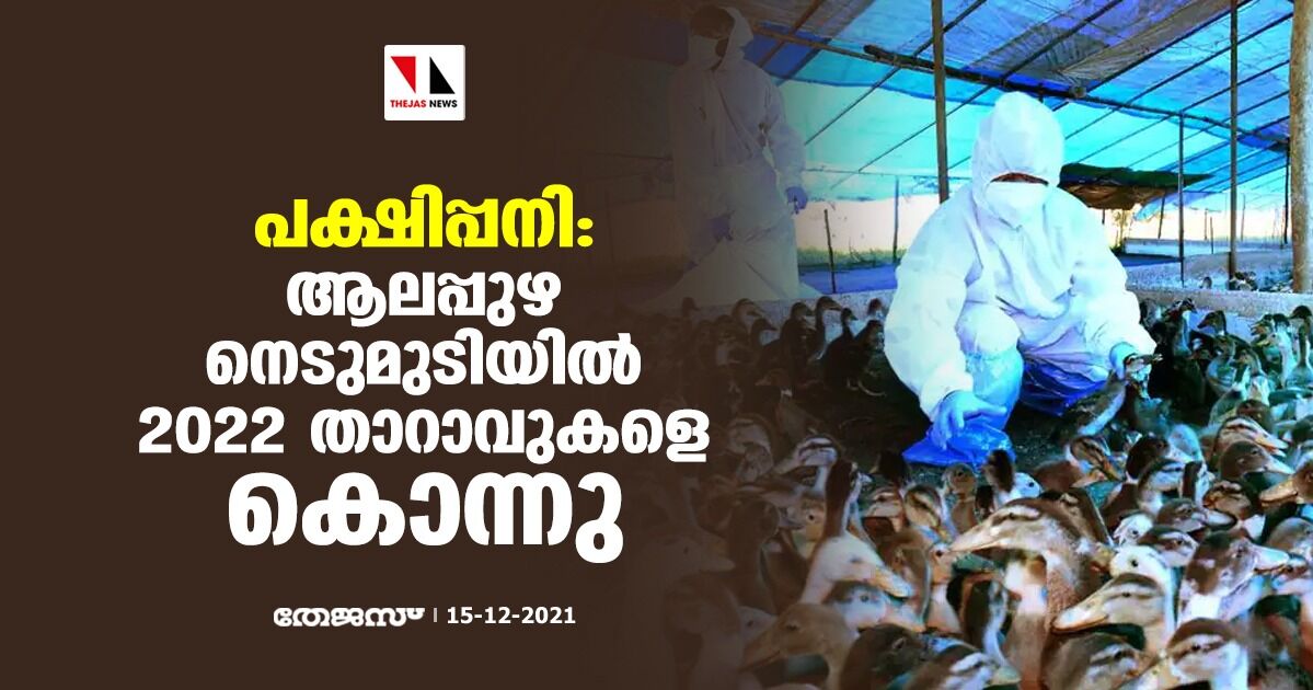 പക്ഷിപ്പനി: ആലപ്പുഴ നെടുമുടിയില്‍ 2022 താറാവുകളെ കൊന്നു