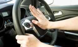 എയര്‍ഹോണ്‍ നിരോധനം കാര്യക്ഷമമാക്കുന്നതിന് പിന്തുണ നല്‍കും: റാഫ്