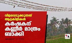വിളവെടുക്കുന്നത് ആറ്റകിളികള്‍;  കര്‍ഷകന് കണ്ണീര്‍ മാത്രം ബാക്കി