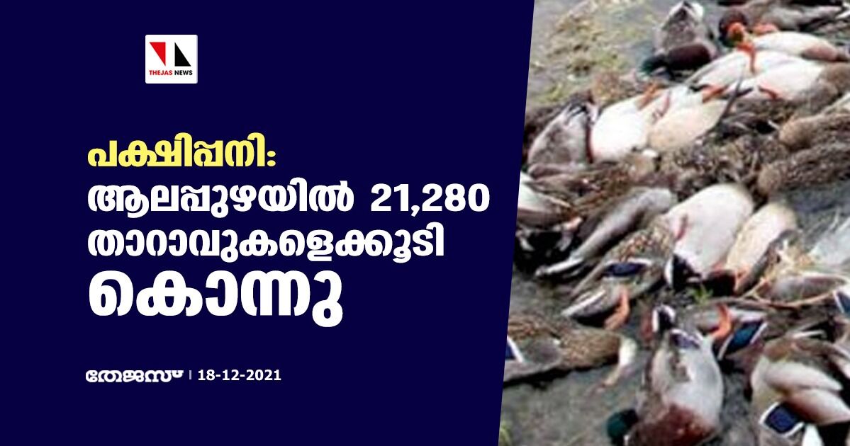 പക്ഷിപ്പനി: ആലപ്പുഴയില്‍ 21,280 താറാവുകളെക്കൂടി കൊന്നു
