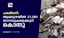 പക്ഷിപ്പനി: ആലപ്പുഴയില്‍ 21,280 താറാവുകളെക്കൂടി കൊന്നു