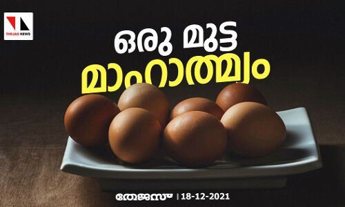 ഒരു മുട്ട മാഹാത്മ്യം