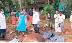 പശുക്കള്‍ ചത്തത് പേവിഷബാധ കാരണമെന്ന് നിഗമനം