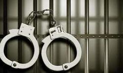 മെഡിക്കല്‍ വിദ്യാര്‍ഥിനിയുടെ ആത്മഹത്യ; മലയാളി സുഹൃത്ത് അറസ്റ്റില്‍