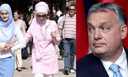 ബോസ്‌നിയയെ യൂറോപ്പ്യന്‍ യൂനിയനില്‍ ഉള്‍പ്പെടുത്തല്‍; ഹംഗേറിയന്‍ പ്രധാനമന്ത്രിയുടെ വംശീയ അധിക്ഷേപത്തിനെതിരേ പണ്ഡിതരും നേതാക്കളും