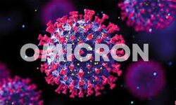 പാലക്കാട്ട് ശബരിമല ഡ്യൂട്ടി കഴിഞ്ഞെത്തിയ പോലിസുകാരനും ഒമിക്രോണ്‍, ഇന്ന് എട്ട് പേര്‍ക്ക് വൈറസ് ബാധ