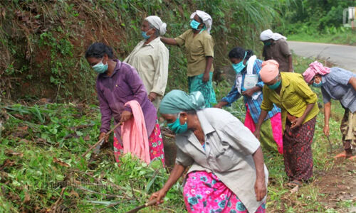 തൊഴിലുറപ്പ് പദ്ധതിയിൽ എറണാകുളം ജില്ലയിൽ നൽകിയത് 29,89,105 തൊഴിൽ ദിനങ്ങൾ