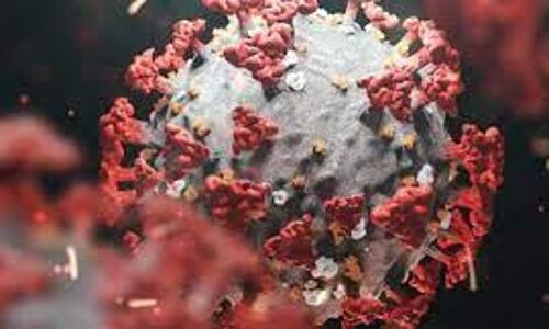 വയനാട് ജില്ലയില്‍ 90 പേര്‍ക്ക് കൂടി കോവിഡ്: ടെസ്റ്റ് പോസിറ്റിവിറ്റി റേറ്റ് 4.47