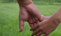 ഒടുവില് പിതാവെത്തി; യുപിക്കാരി പുഷ്പ 9 വര്ഷത്തിനുശേഷം നാട്ടിലേക്ക് മടങ്ങും ഒടുവില് പിതാവെത്തി; യുപിക്കാരി പുഷ്പ 9 വര്ഷത്തിനുശേഷം നാട്ടിലേക്ക് മടങ്ങും