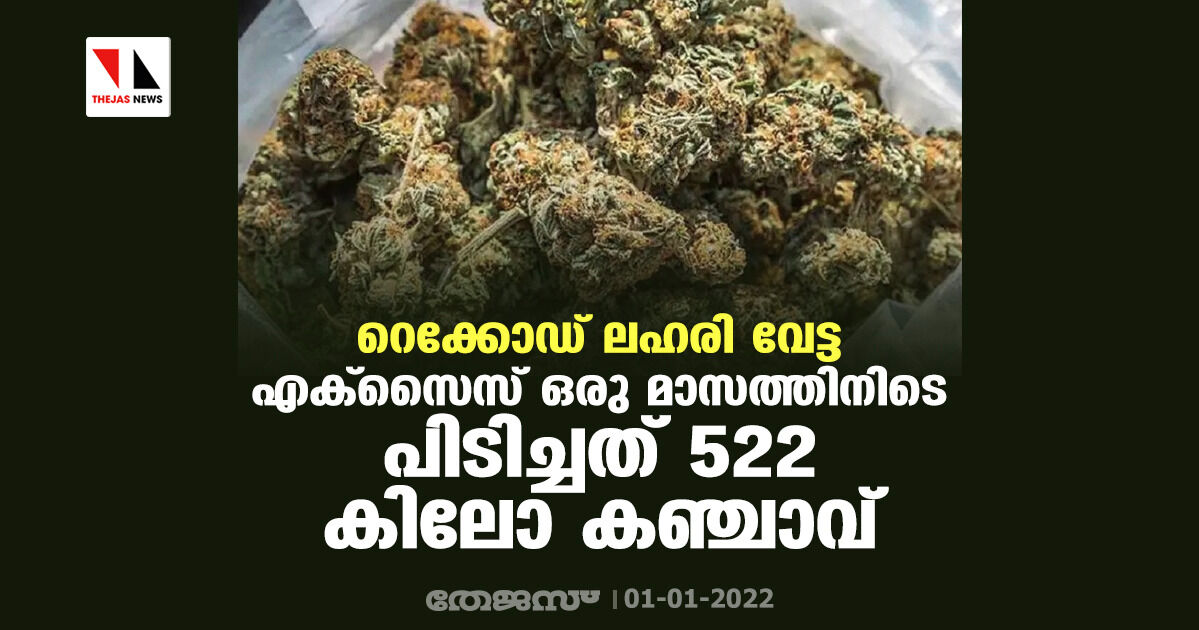 റെക്കോഡ് ലഹരി വേട്ട; എക്സൈസ് ഒരു മാസത്തിനിടെ പിടിച്ചത് 522 കിലോ കഞ്ചാവ്