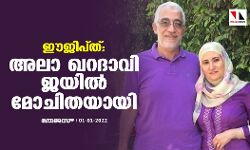 ഈജിപ്ത്: അലാ ഖറദാവി ജയില്‍ മോചിതയായി