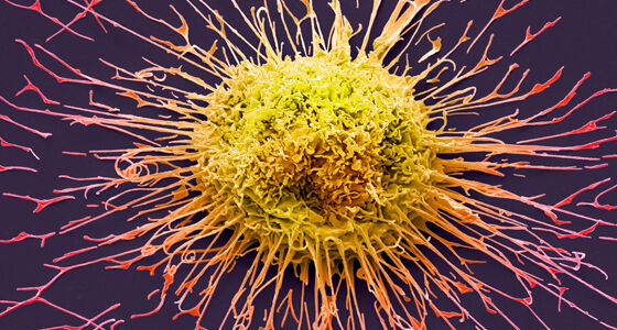 ക്യാന് തൃശൂര്: രണ്ടാം ഘട്ട പ്രവര്ത്തനങ്ങള്ക്ക് രൂപരേഖയായി ക്യാന് തൃശൂര്: രണ്ടാം ഘട്ട പ്രവര്ത്തനങ്ങള്ക്ക് രൂപരേഖയായി