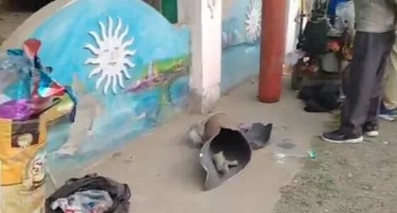 ബലൂണ് വില്പ്പനക്കാരന്റെ സിലിണ്ടര് പൊട്ടിത്തെറിച്ചു; 3 കുട്ടികളടക്കം അഞ്ച് പേര്ക്ക് പരിക്ക് ബലൂണ് വില്പ്പനക്കാരന്റെ സിലിണ്ടര് പൊട്ടിത്തെറിച്ചു; 3 കുട്ടികളടക്കം അഞ്ച് പേര്ക്ക് പരിക്ക്