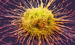 ക്യാന്‍ തൃശൂര്‍: രണ്ടാം ഘട്ട പ്രവര്‍ത്തനങ്ങള്‍ക്ക് രൂപരേഖയായി