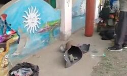 ബലൂണ്‍ വില്‍പ്പനക്കാരന്റെ സിലിണ്ടര്‍ പൊട്ടിത്തെറിച്ചു; 3 കുട്ടികളടക്കം അഞ്ച് പേര്‍ക്ക് പരിക്ക്