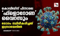 കൊവിഡിന് പിന്നാലെ ഫ്ളൊറോണ വൈറസും; രോഗം സ്ഥിരീകരിച്ചത് ഇസ്രായേലില് കൊവിഡിന് പിന്നാലെ ഫ്ളൊറോണ വൈറസും; രോഗം സ്ഥിരീകരിച്ചത് ഇസ്രായേലില്