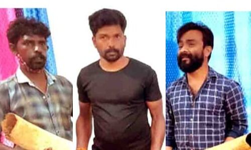 ആനക്കൊമ്പുകളുമായി മൂന്നുപേര്‍ പിടിയില്‍