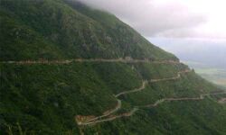 മൂന്നാര്‍ ബോഡിമേട്ട് ദേശീയപാത ഭൂരിഭാഗവും ഫെബ്രുവരിയില്‍ പൂര്‍ത്തിയാക്കും; വനംവകുപ്പിന്റെ അനുമതിക്കായി പ്രത്യേകയോഗം