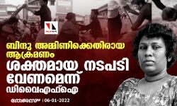 ബിന്ദു അമ്മിണിക്കെതിരായ ആക്രമണം; ശക്തമായ നടപടി വേണമെന്ന് ഡിവൈഎഫ്ഐ
