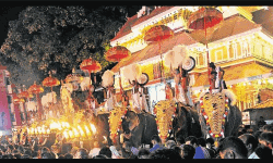 പാറമേക്കാവ് വേല: വെടിക്കെട്ടിന് അനുമതി