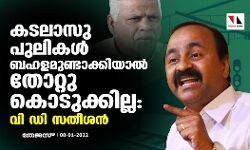 കടലാസു പുലികൾ ബഹളമുണ്ടാക്കിയാൽ തോറ്റു കൊടുക്കില്ല: വി ഡി സതീശന്‍