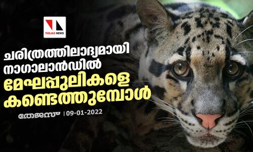 ചരിത്രത്തിലാദ്യമായി നാ​ഗാലാൻഡിൽ മേഘപ്പുലികളെ കണ്ടെത്തുമ്പോൾ