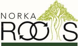 നോര്‍ക്ക പ്രവാസി ദുരിതാശ്വാസനിധിയായ സാന്ത്വന പദ്ധതിയിലേക്ക് അപേക്ഷിക്കാം