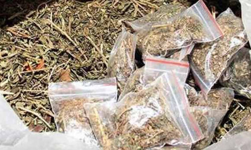 മഞ്ചേരിയില്‍ വന്‍ കഞ്ചാവ് വേട്ട; വാടക വീട്ടില്‍ നിന്ന് 18 കിലോ കഞ്ചാവ് പിടികൂടി